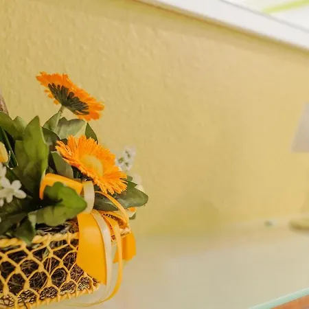 Apartamento Zur Rosi *