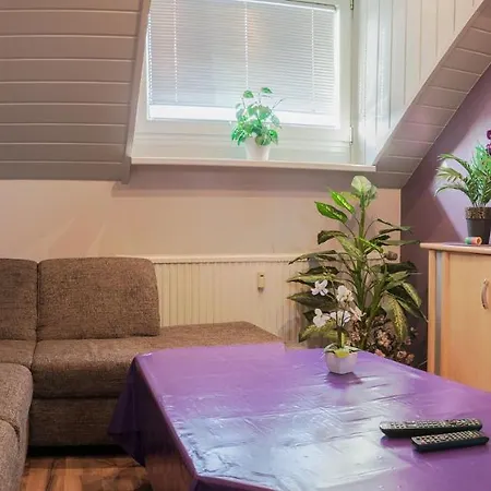 Zur Rosi Apartamento *